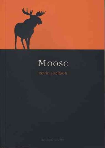 Moosemoose 