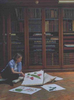 Mr Roscoe's Gardenroscoe 