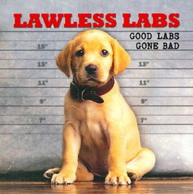 Lawless Labslawless 