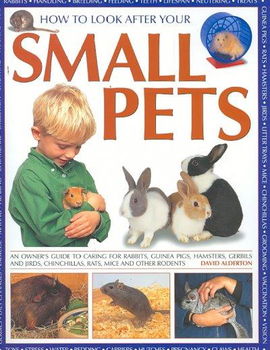 How to Look After Your Small Petssmall 