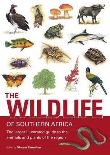 The Wildlife of Southern Africawildlife 