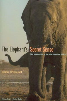 The Elephant's Secret Senseelephant 