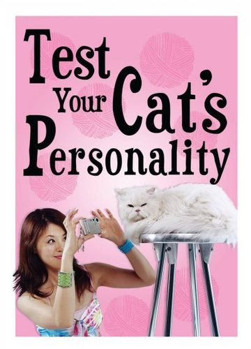 Test Your Cat's Personalitycat 