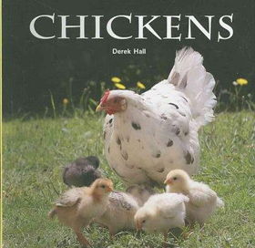 Chickenschickens 