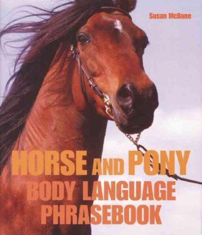 Horse and Pony Body Language Phrasebookhorse 