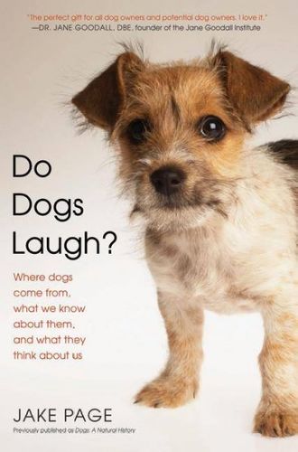 Do Dogs Laugh?dogs 