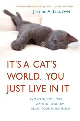 It's a Cat's World... You Just Live in Itcat 