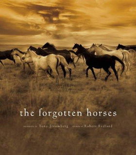 The Forgotten Horsesforgotten 