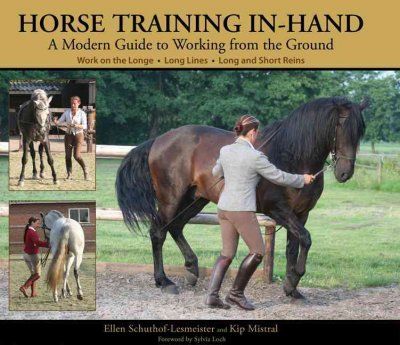 Horse Training In-Handhorse 
