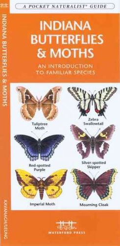 Indiana Butterflies & Mothsindiana 