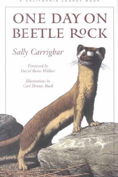 One Day on Beetle Rockday 