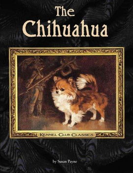 Chihuahuachihuahua 