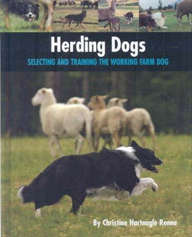 Herding Dogsherding 