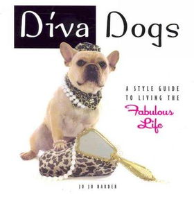 Diva Dogsdiva 