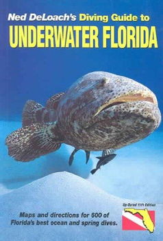 Diving Guide to Underwater Floridadiving 
