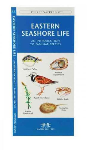 Eastern Seashore Lifeeastern 