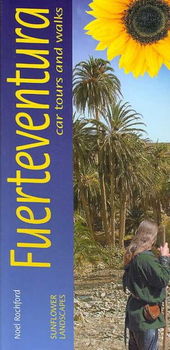 Sunflower Landscapes of Fuerteventurasunflower 