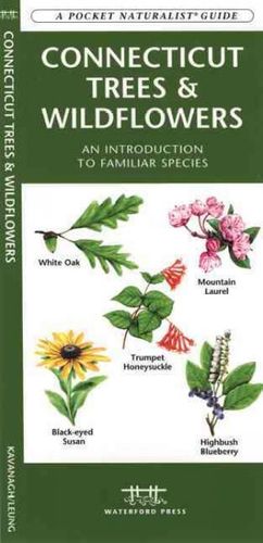 Connecticut Trees & Wildflowersconnecticut 