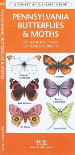 Pennsylvania Butterflies & Mothspennsylvania 