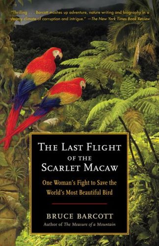 The Last Flight of the Scarlet Macawlast 