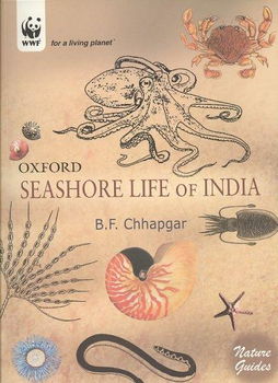 Seashore Life of Indiaseashore 