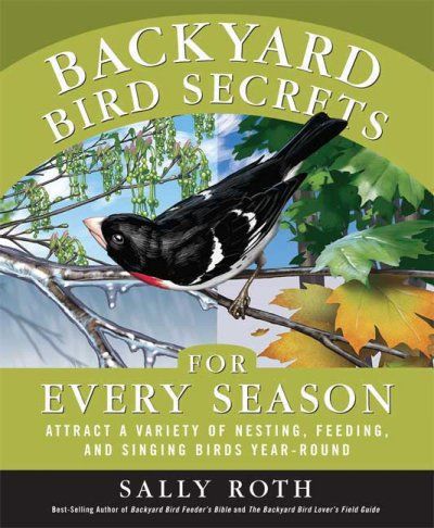 Backyard Bird Secrets for Every Seasonbackyard 
