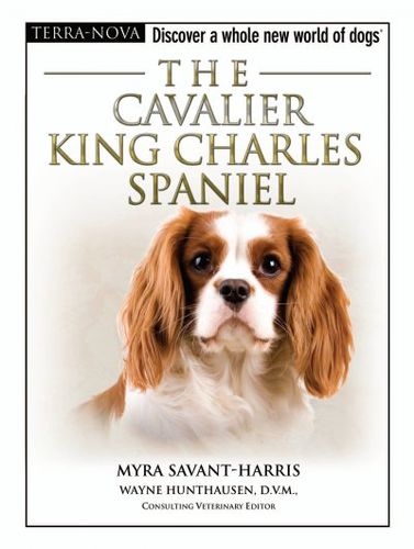 The Cavalier King Charles Spanielcavalier 