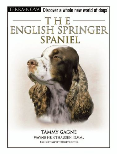 The English Springer Spanielenglish 