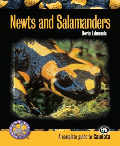 Newts and Salamandersnewts 