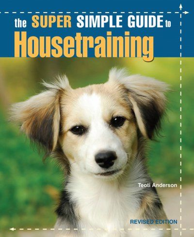 The Super Simple Guide to Housetrainingsuper 