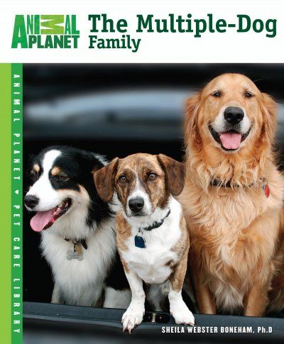 The Multiple-Dog Familymultiple 