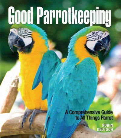 Good Parrotkeepingparrotkeeping 