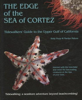 The Edge of the Sea of Cortezedge 