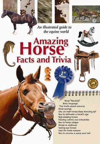 Amazing Horse Facts and Triviahorse 