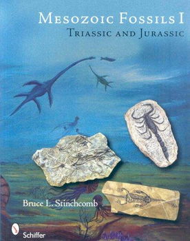 Mesozoic Fossils Imesozoic 