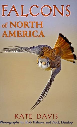 Falcons of North Americafalcons 