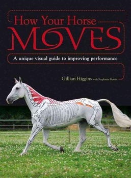 How Your Horse Moveshorse 