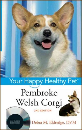 Pembroke Welsh Corgipembroke 
