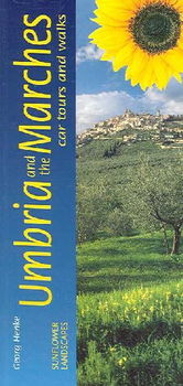 Sunflower Landscapes of Umbria and the Marchessunflower 