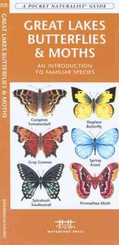 Great Lakes Butterflies & Mothslakes 