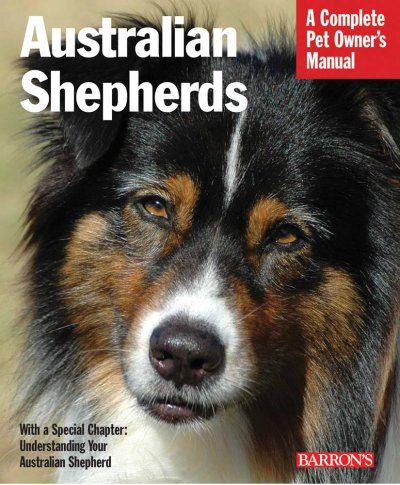 Australian Shepherdsaustralian 