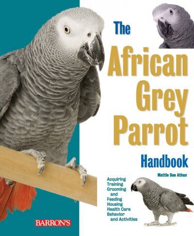 The African Grey Parrot Handbookafrican 