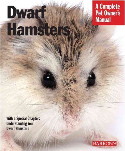 Dwarf Hamstersdwarf 
