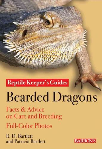 Bearded Dragonsbearded 