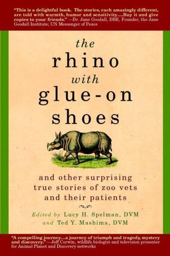 The Rhino With Glue-On Shoesrhino 