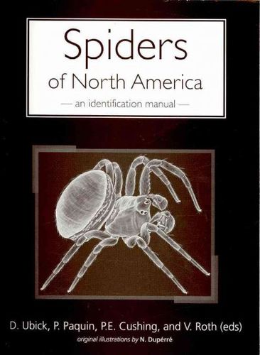 Spiders of North Americaspiders 