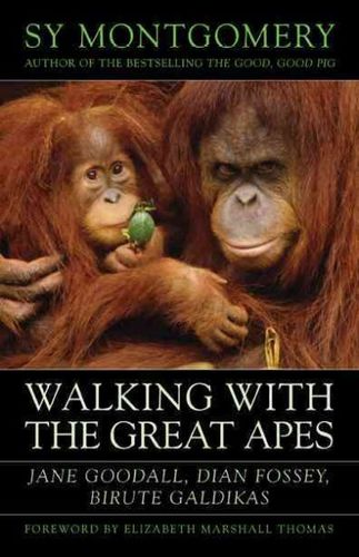 Walking with the Great Apeswalking 