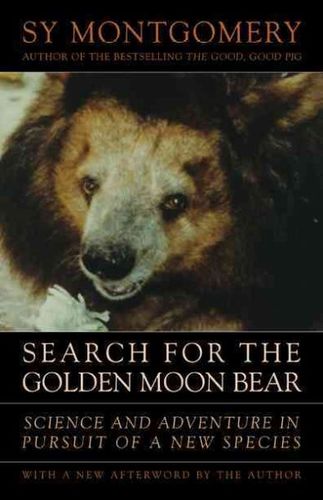 Search for the Golden Moon Bearsearch 