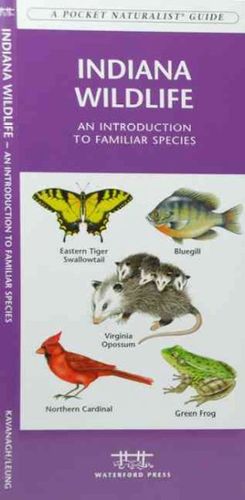 Indiana Wildlifeindiana 