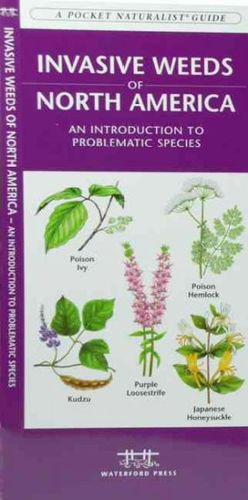 Invasive Weeds of North Americainvasive 
